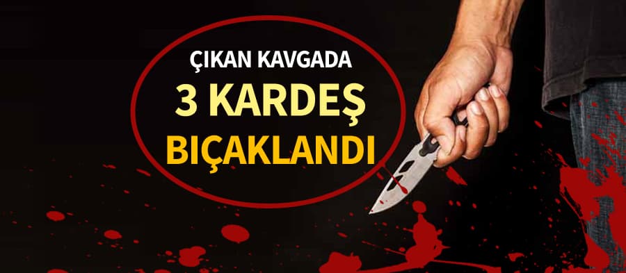 Çıkan kavgada 3 kardeş bıçaklandı