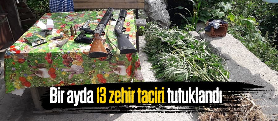 Bir ayda 13 zehir taciri tutuklandı