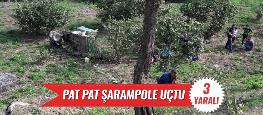 Sakarya'da pat pat şarampole uçtu!