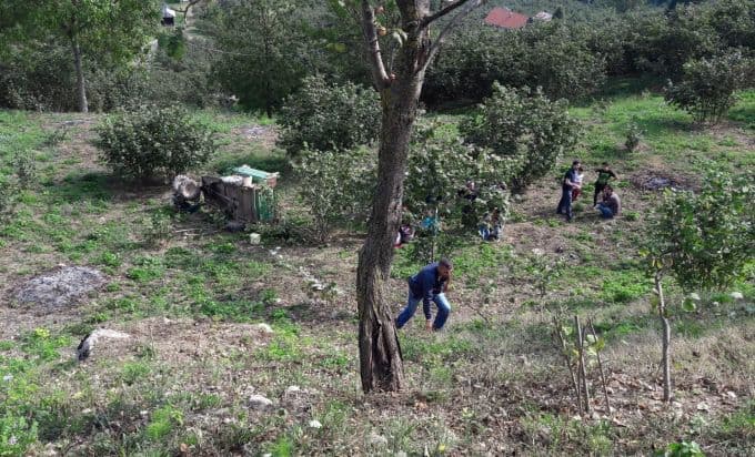 Sakarya'da pat pat şarampole uçtu!