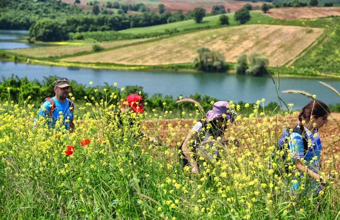 İşte Sakarya'nın doğal güzellikleri