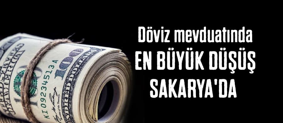 En büyük düşüş Sakarya'da
