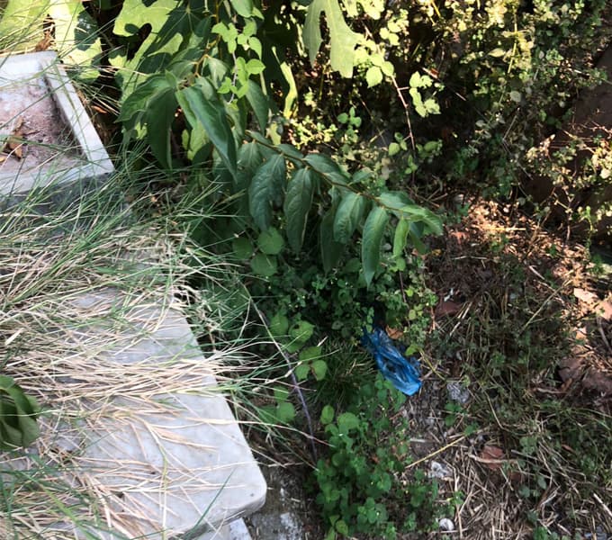 Mezarlığın içler acısı hali 