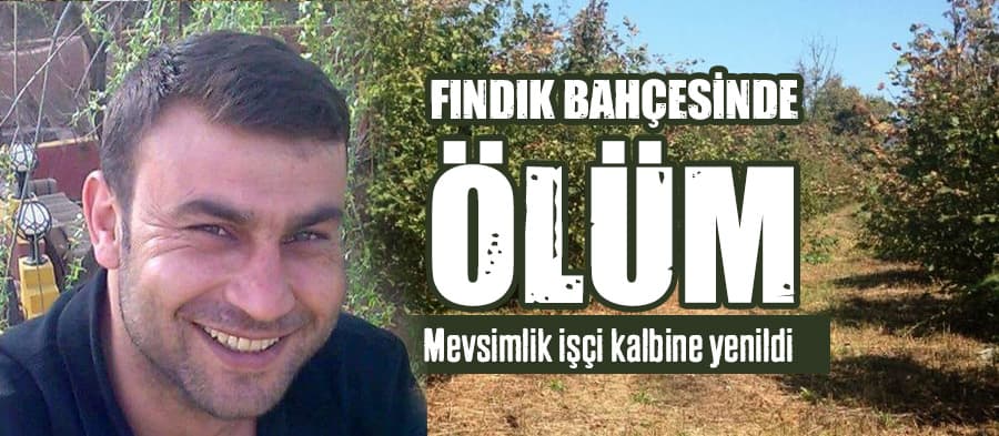 Tarım işçisi, çalıştığı fındık bahçesinde hayatını kaybetti