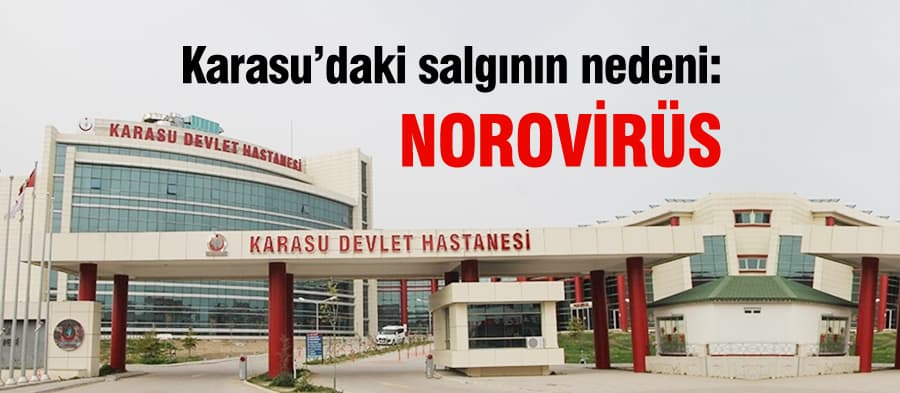 Karasu'daki salgının nedeni: Norovirüs