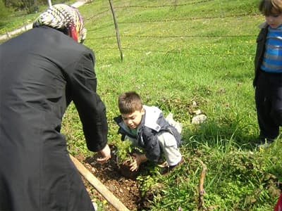 Minik Afacanların Ağaç Sevgisi
