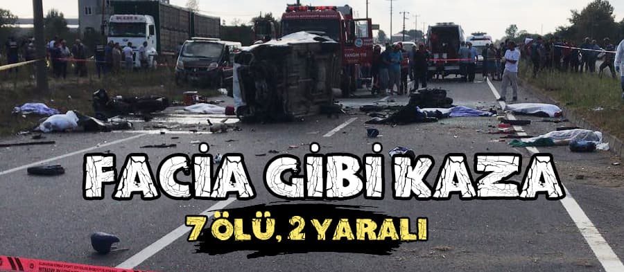 Facia gibi kaza