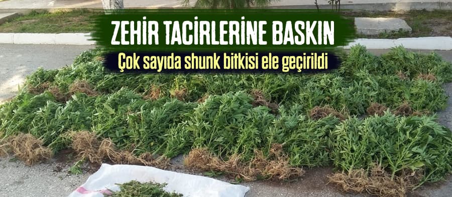 Zehir tacirlerine operasyon