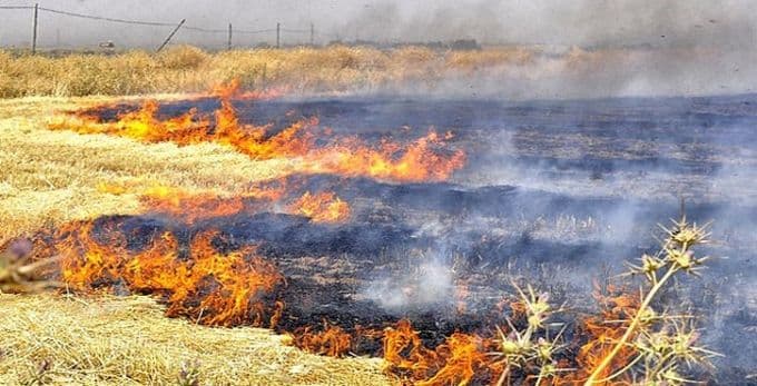 Anız yangınları, topraktaki verimliliği düşürüyor