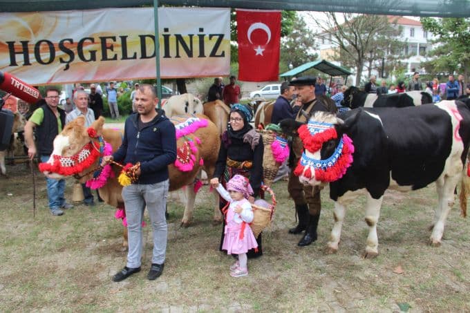 34. Söğütlü Festivali başladı
