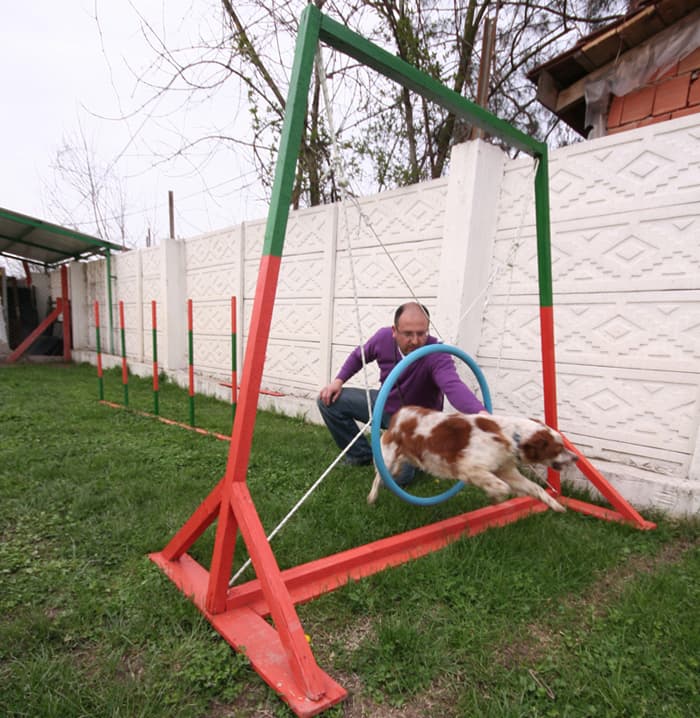 Marmara Bölgesi'nin En Büyük Köpek Çiftliği Açıldı