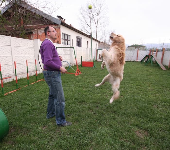 Marmara Bölgesi'nin En Büyük Köpek Çiftliği Açıldı