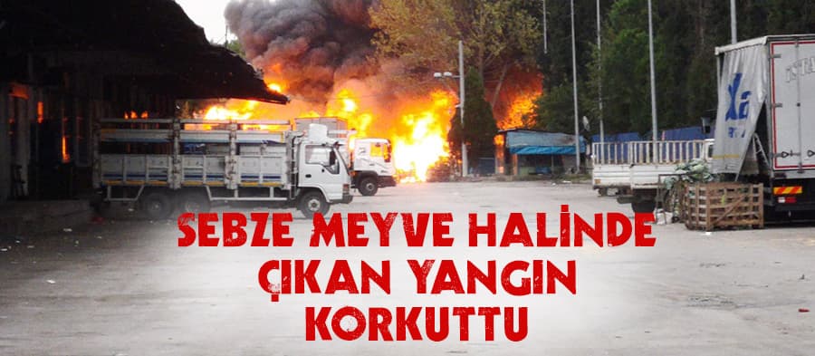Halde çıkan yangın korkuttu