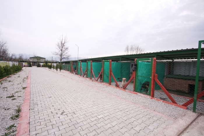 Marmara Bölgesi'nin En Büyük Köpek Çiftliği Açıldı