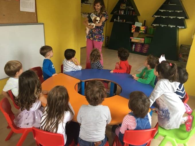 Hayvan sevgisine dikkat çekmek için sunum yaptılar