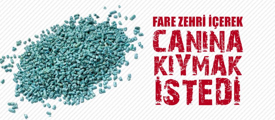 Fare zehiri içti hastanelik oldu 