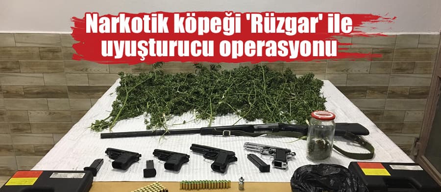 Narkotik köpeği 'Rüzgar' ile uyuşturucu operasyonu