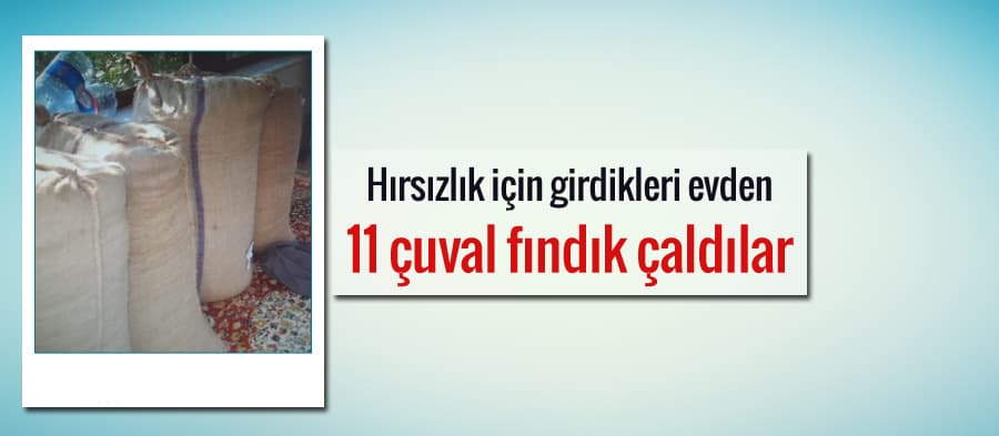 Hırsızlık için girdikleri evden 11 çuval fındık çaldılar