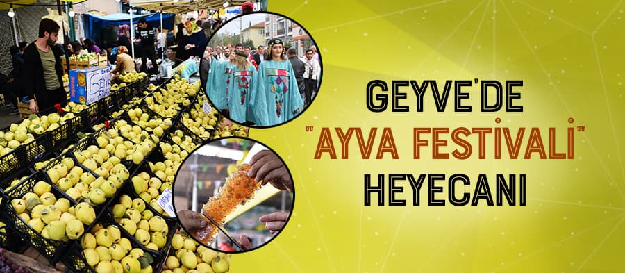Geyve'de "Ayva Festivali" heyecanı