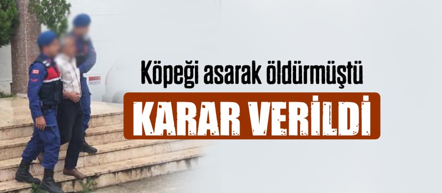 Köpeği ağaca asarak öldüren kişi hakkında karar verildi