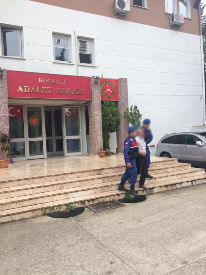 Köpeği ağaca asarak öldüren kişi hakkında karar verildi