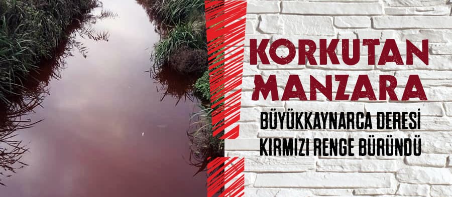 Büyükkaynarca Deresi kırmızı renge büründü 
