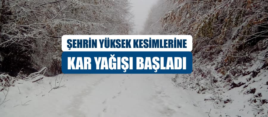 Sakarya'nın yüksek kesimlerine kar yağışı başladı