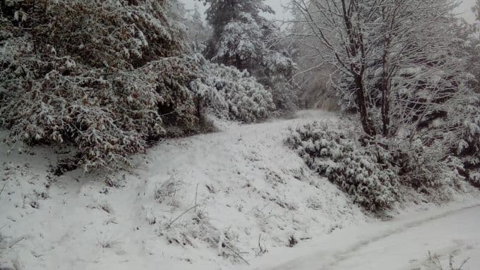 Sakarya'nın yüksek kesimlerine kar yağışı başladı