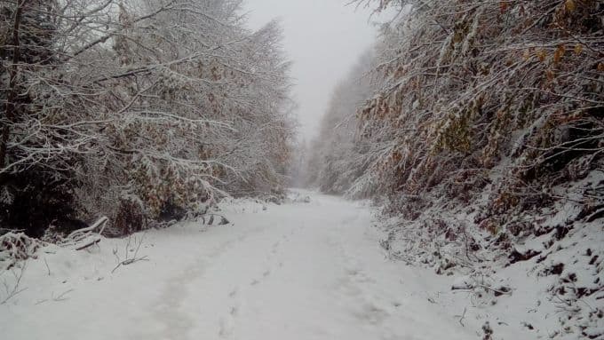 Sakarya'nın yüksek kesimlerine kar yağışı başladı