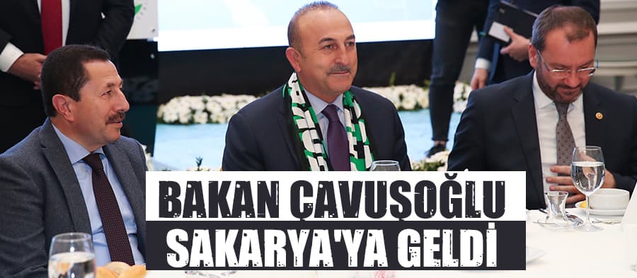Bakan Çavuşoğlu Sakarya'ya geldi