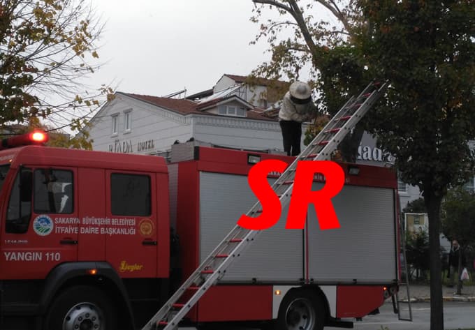 Ağaca dadanan arılar itfaiyecilere saldırdı