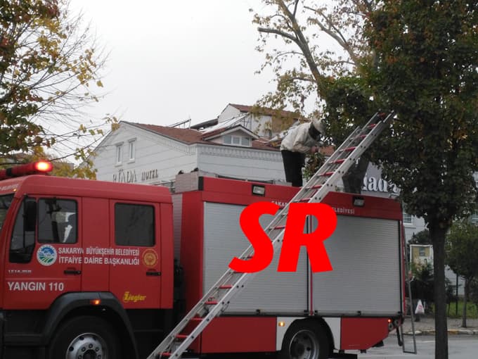 Ağaca dadanan arılar itfaiyecilere saldırdı