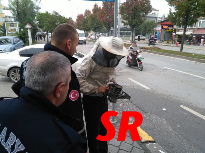Ağaca dadanan arılar itfaiyecilere saldırdı