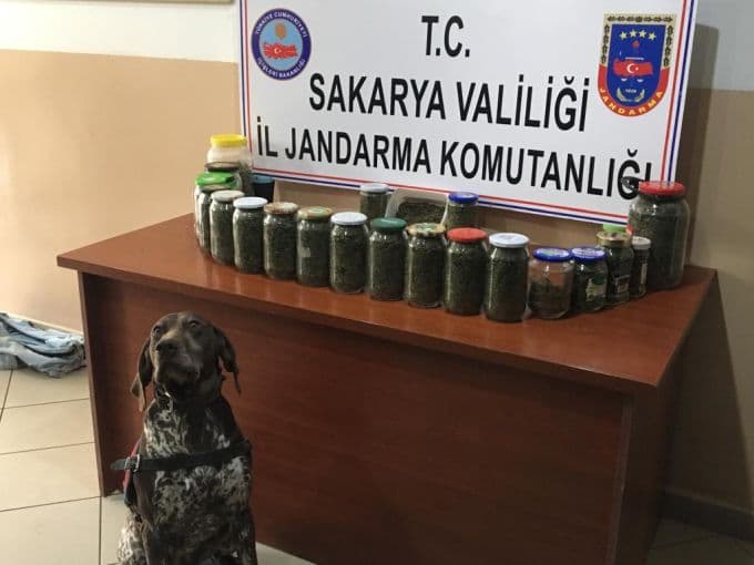 Zehir tacirlerine geçit yok: 54 gözaltı!