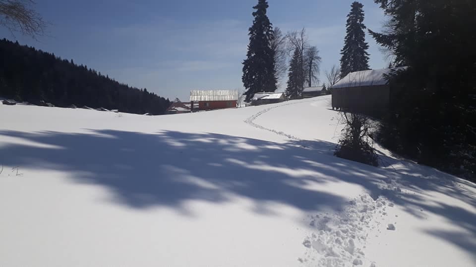 Sakarya Yaylalarından Kar Manzaraları