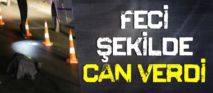 Misafirlik dönüşü kazada öldü