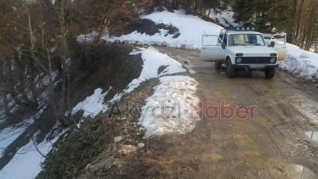 Hayatını ağaçlar kurtardı