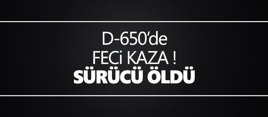 D-650'de feci kaza: Sürücü öldü