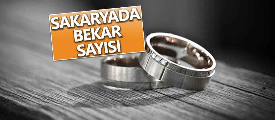Sakarya'da bekar sayısı