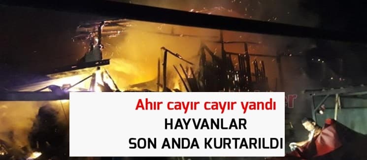 Akyazı'da korkutan yangın