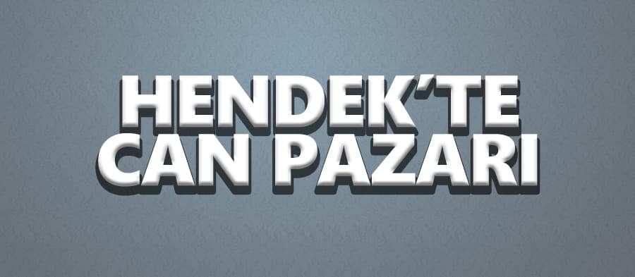 Hendek'te kaza:2'si çocuk 10 yaralı
