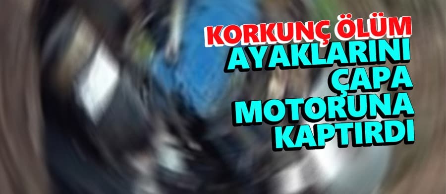 Fındıklıkta feci ölüm