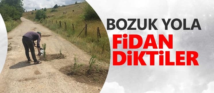 Bozuk yola fidan diktiler!