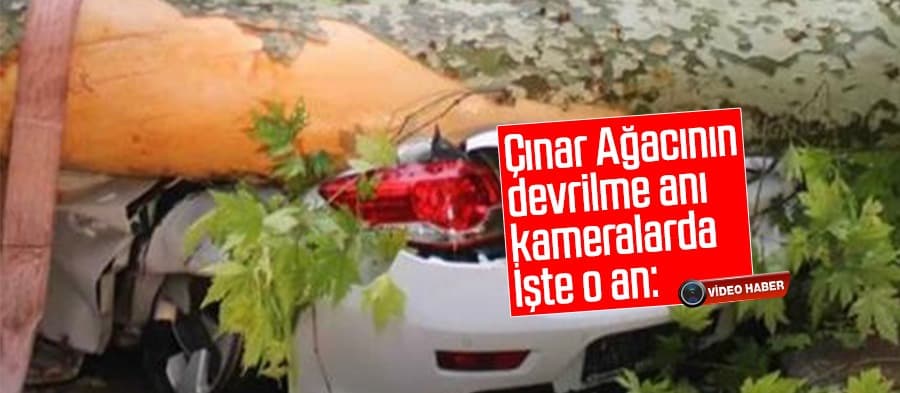 Ölümden döndüler; İşte o anlar