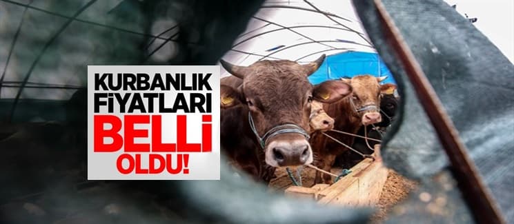 Kurbanlık fiyatları belli oldu