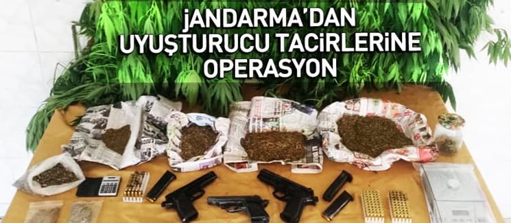Jandarmadan uyuşturucu operasyonu