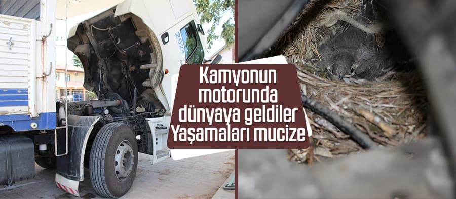 Yaşamaları mucize