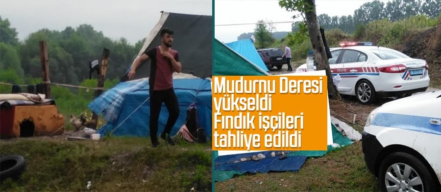 Fındık işçilerinin çadırları kaldırıldı