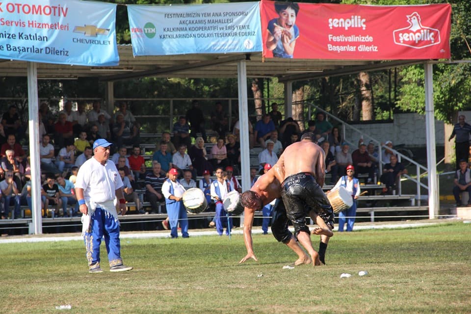 35. Söğütlü Festivali sona erdi