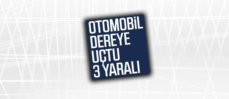 Otomobil dereye uçtu: 3 yaralı 